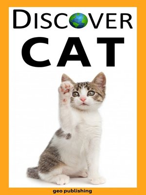cover image of Discover